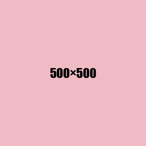 image de remplacement 500 × 500