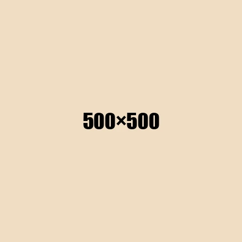 image de remplacement 500 × 500
