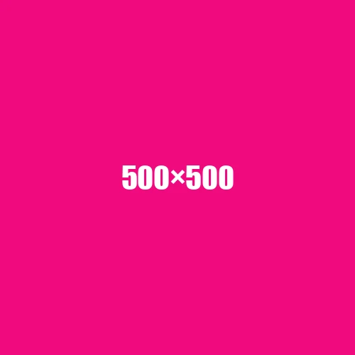 image de remplacement 500 × 500
