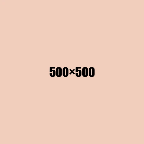 image de remplacement 500 × 500