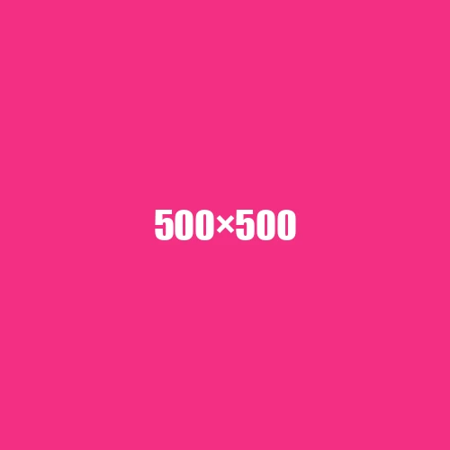 image de remplacement 500 × 500