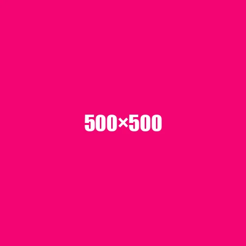 image de remplacement 500 × 500