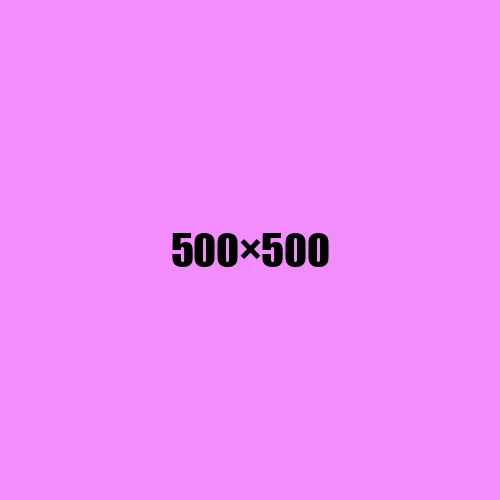 image de remplacement 500 × 500