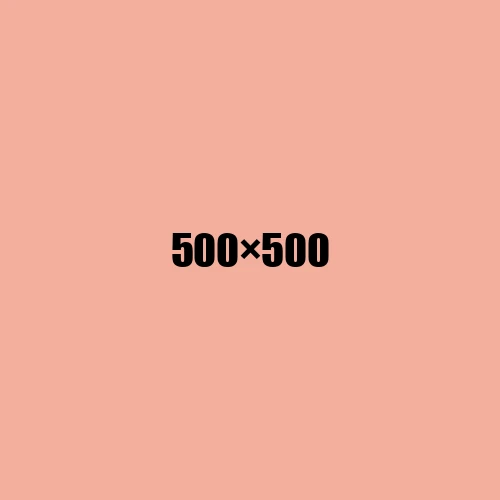 image de remplacement 500 × 500