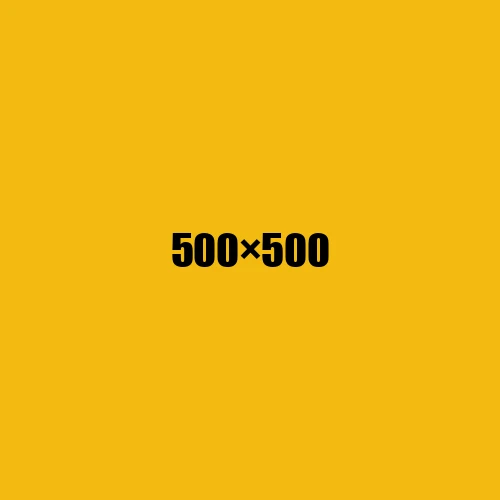 image de remplacement 500 × 500