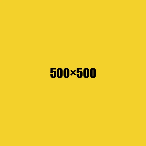 image de remplacement 500 × 500