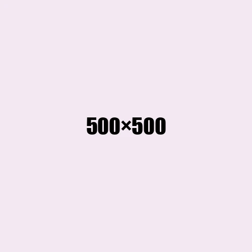 image de remplacement 500 × 500