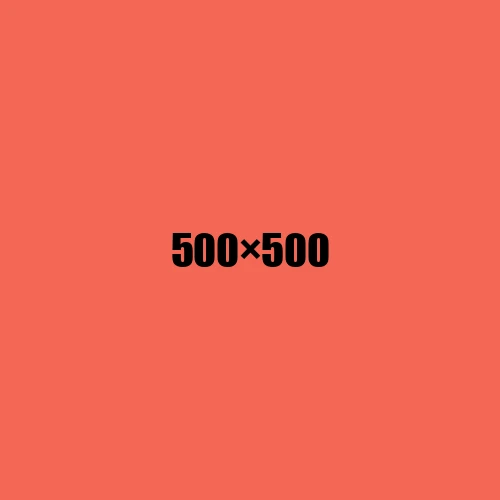 image de remplacement 500 × 500