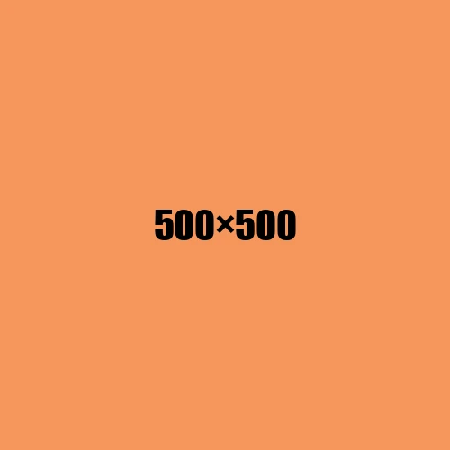 image de remplacement 500 × 500