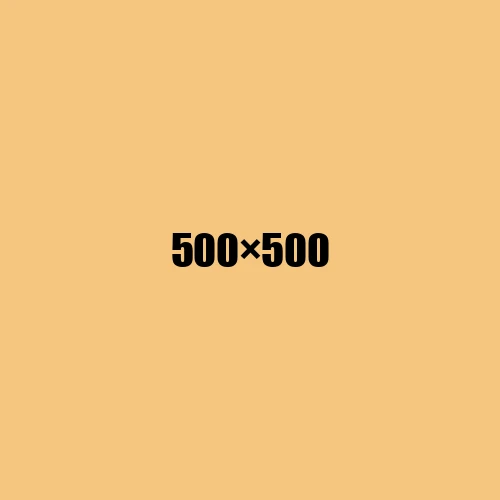 image de remplacement 500 × 500