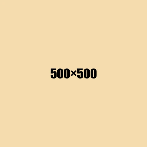 image de remplacement 500 × 500