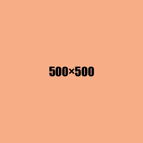 image de remplacement 500 × 500