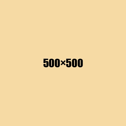 image de remplacement 500 × 500