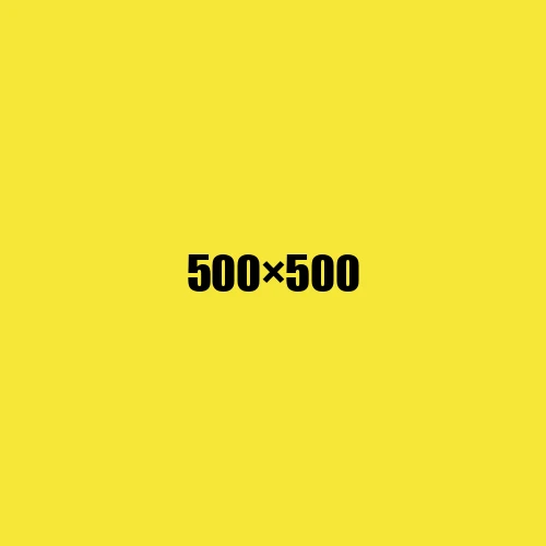 image de remplacement 500 × 500