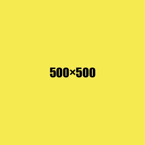 image de remplacement 500 × 500