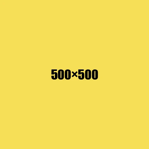 image de remplacement 500 × 500