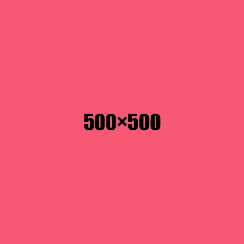 image de remplacement 500 × 500