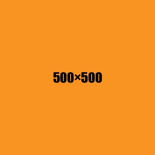 image de remplacement 500 × 500
