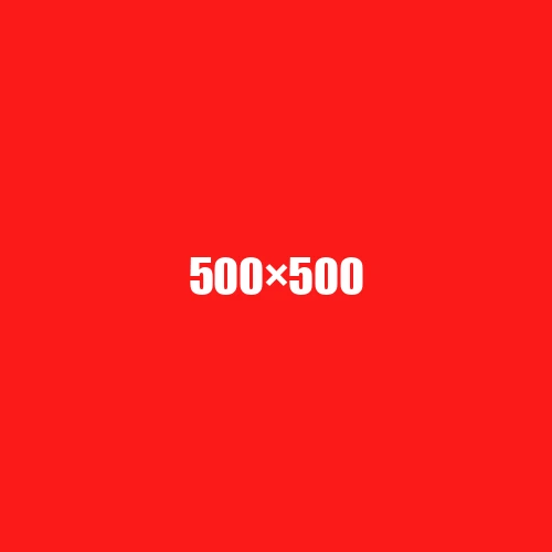 image de remplacement 500 × 500