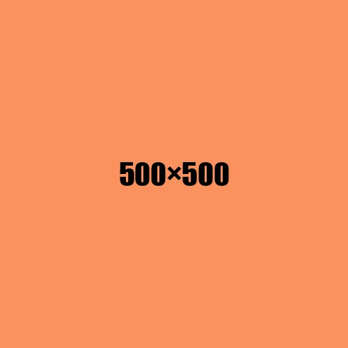 image de remplacement 500 × 500
