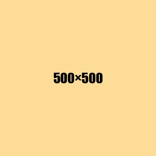image de remplacement 500 × 500