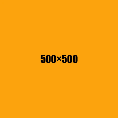 image de remplacement 500 × 500
