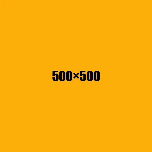 image de remplacement 500 × 500