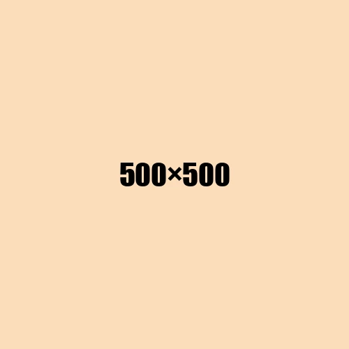image de remplacement 500 × 500