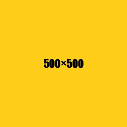 image de remplacement 500 × 500