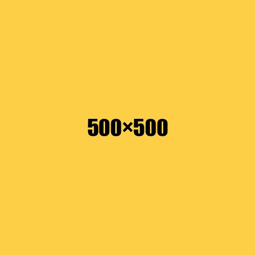 image de remplacement 500 × 500