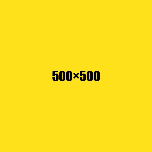image de remplacement 500 × 500