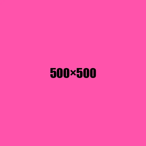 image de remplacement 500 × 500