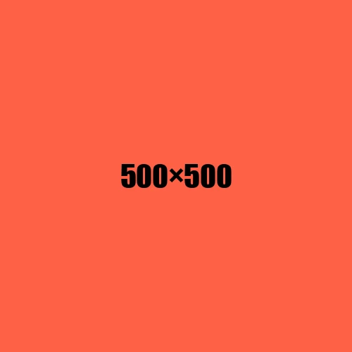 image de remplacement 500 × 500