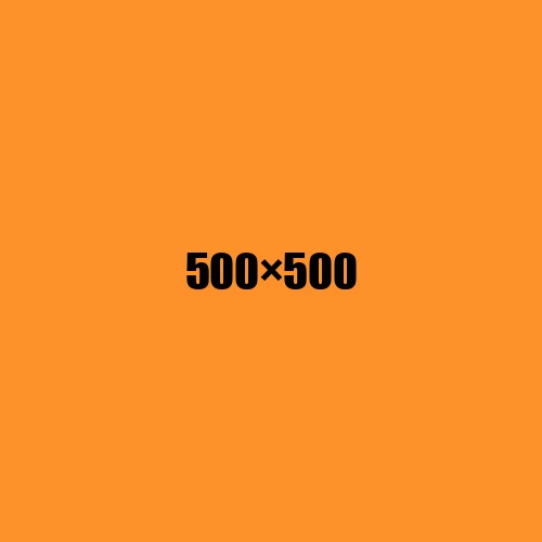 image de remplacement 500 × 500