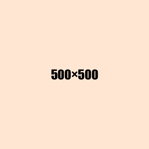 image de remplacement 500 × 500