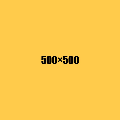 image de remplacement 500 × 500
